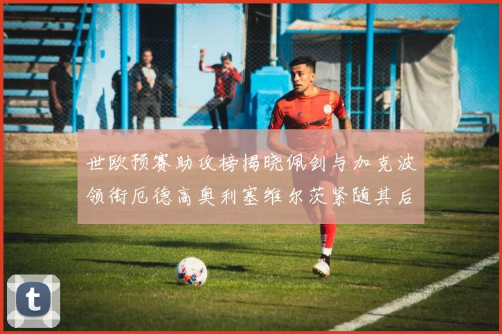 世欧预赛助攻榜揭晓佩剑与加克波领衔厄德高奥利塞维尔茨紧随其后