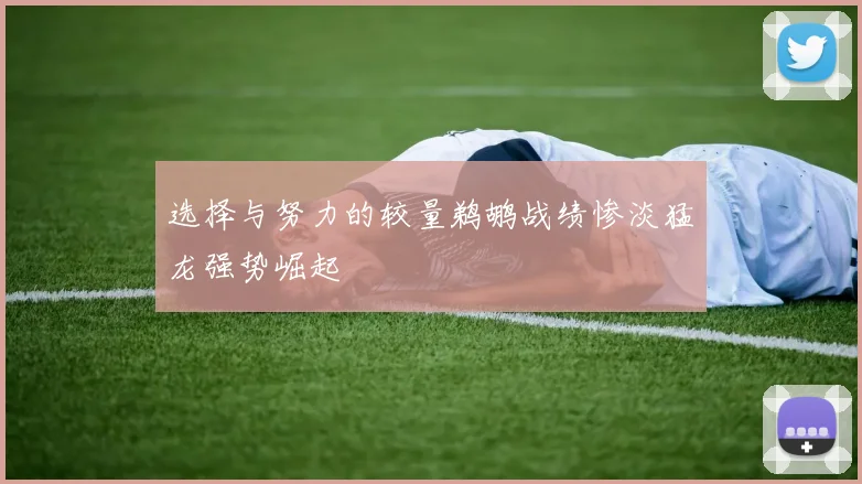 选择与努力的较量鹈鹕战绩惨淡猛龙强势崛起